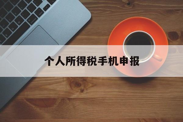 个人所得税手机申报(个人所得税手机申报操作流程图)