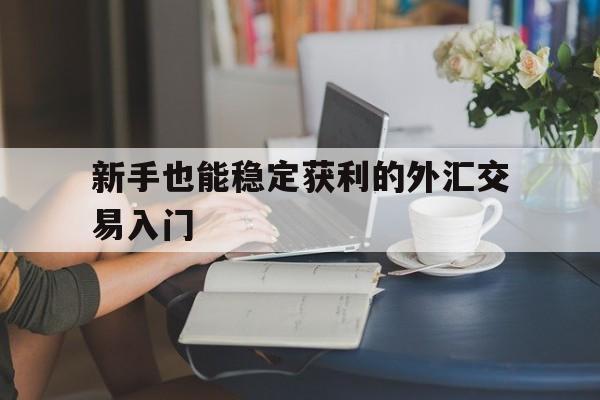 关于新手也能稳定获利的外汇交易入门的信息