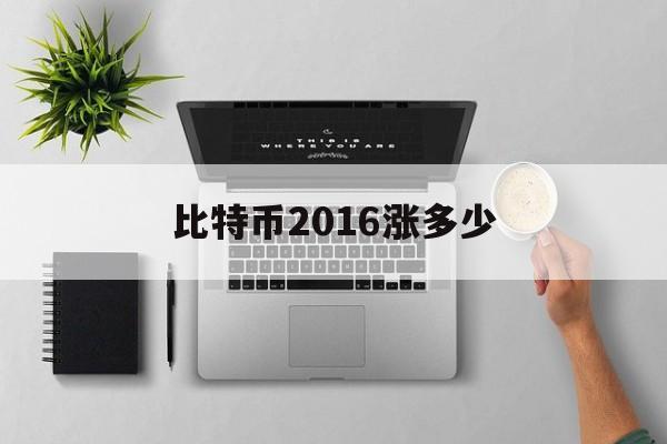 比特币2016涨多少(比特币2016年到现在涨了多少)